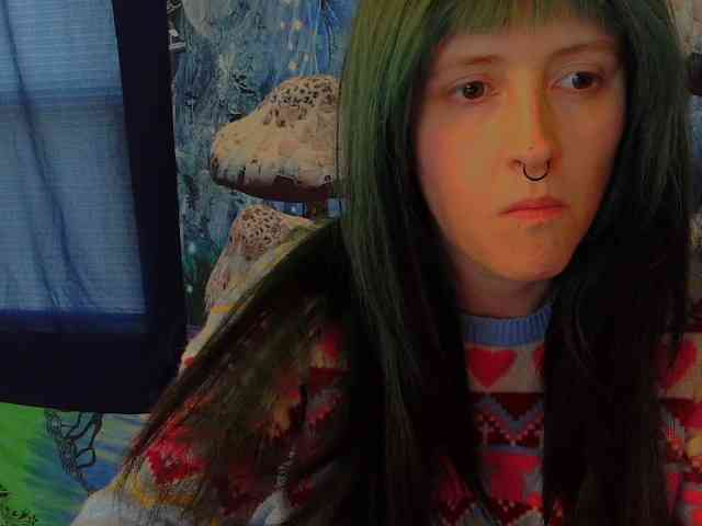 stormythunder webcam