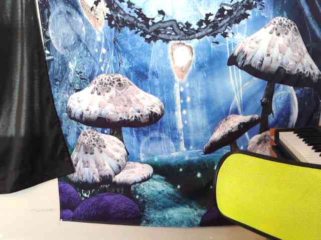 stormythunder webcam