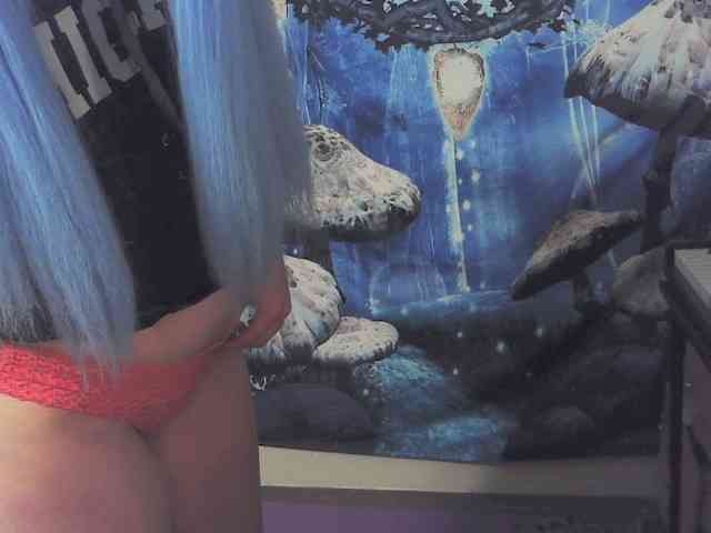 stormythunder webcam