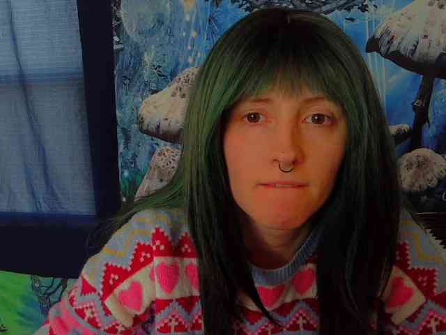 stormythunder webcam