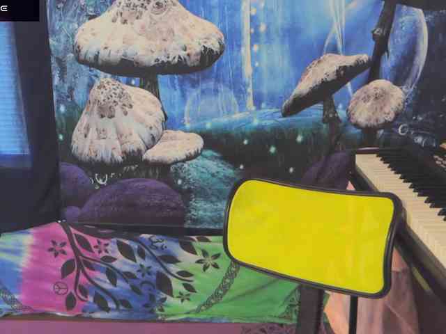 stormythunder webcam