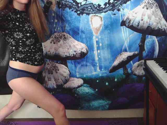 stormythunder webcam