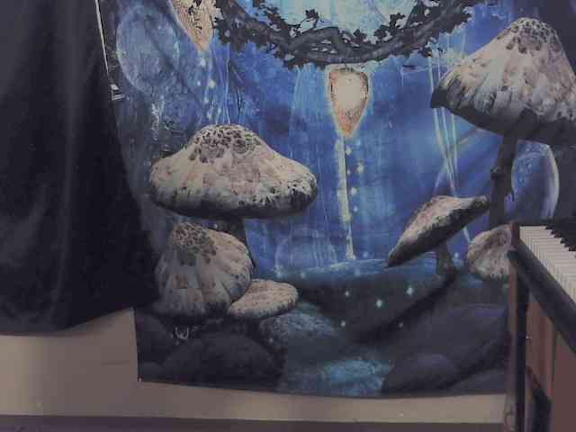 stormythunder webcam