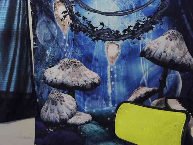 stormythunder webcam