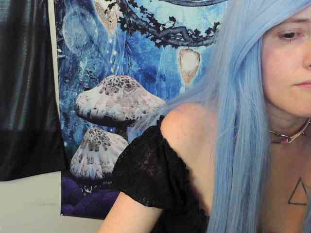 stormythunder webcam