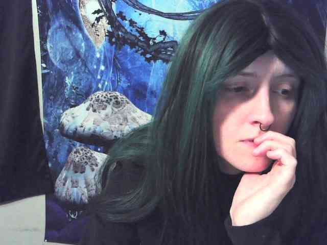 stormythunder webcam