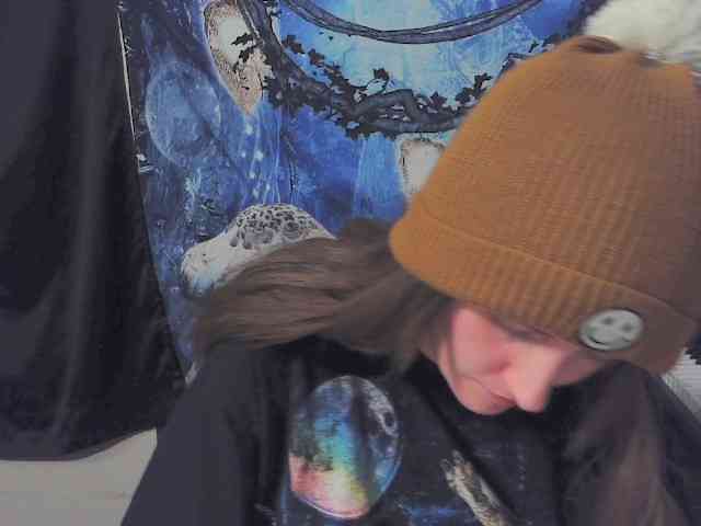 stormythunder webcam