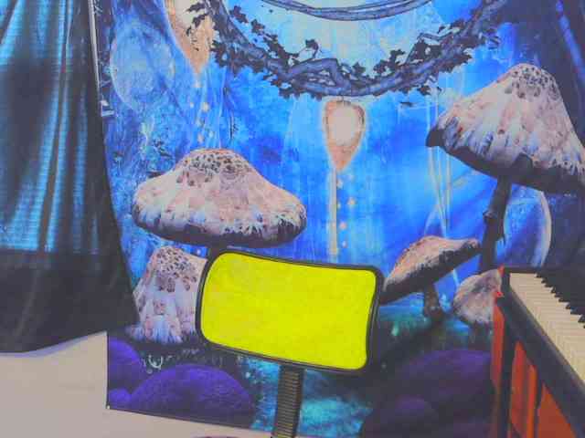 stormythunder webcam