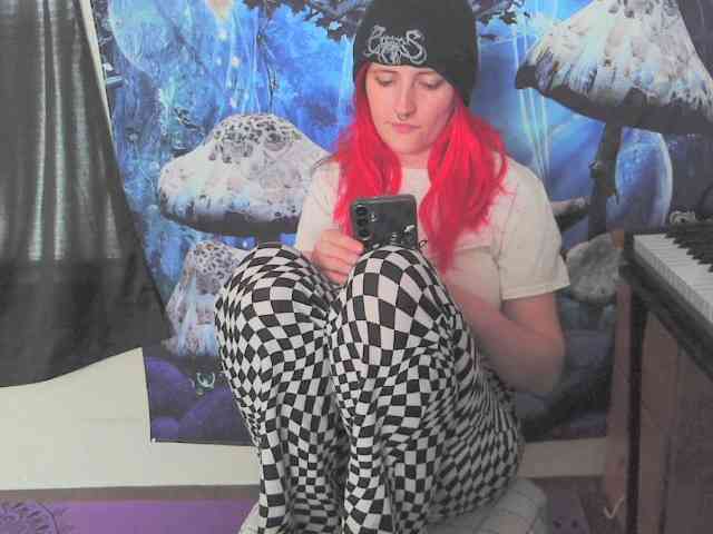 stormythunder webcam