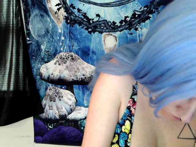 stormythunder webcam