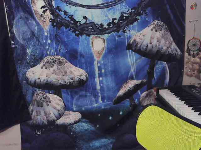 stormythunder webcam