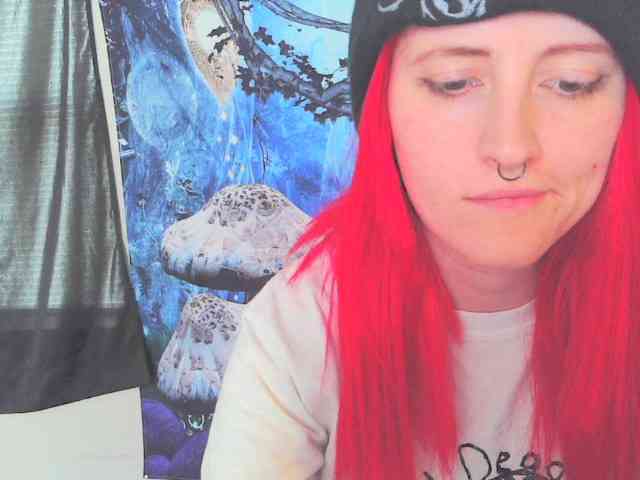 stormythunder webcam