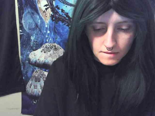 stormythunder webcam