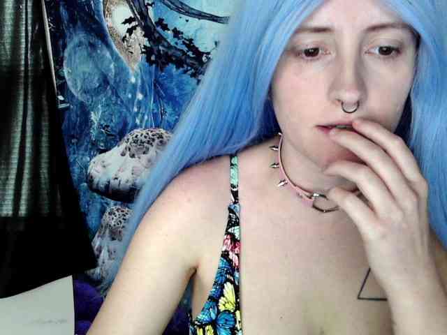 stormythunder webcam