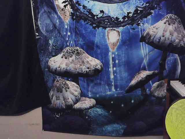 stormythunder webcam