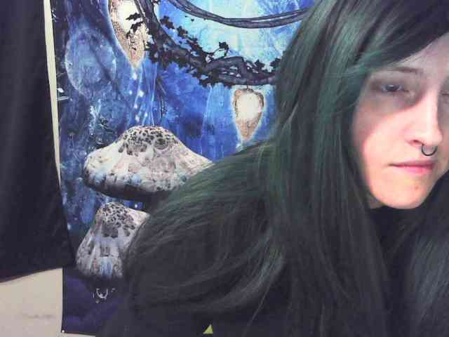 stormythunder webcam