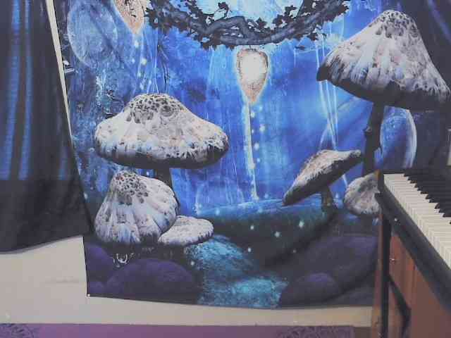 stormythunder webcam