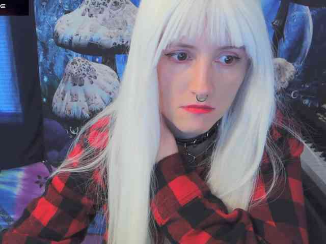 stormythunder webcam