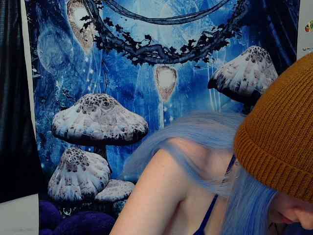 stormythunder webcam