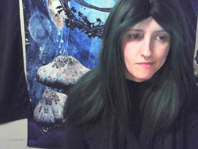 stormythunder webcam