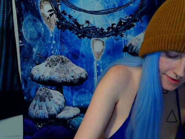 stormythunder webcam