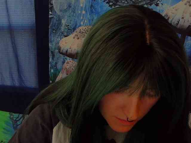 stormythunder webcam