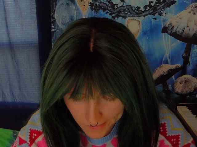 stormythunder webcam