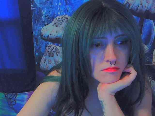 stormythunder webcam