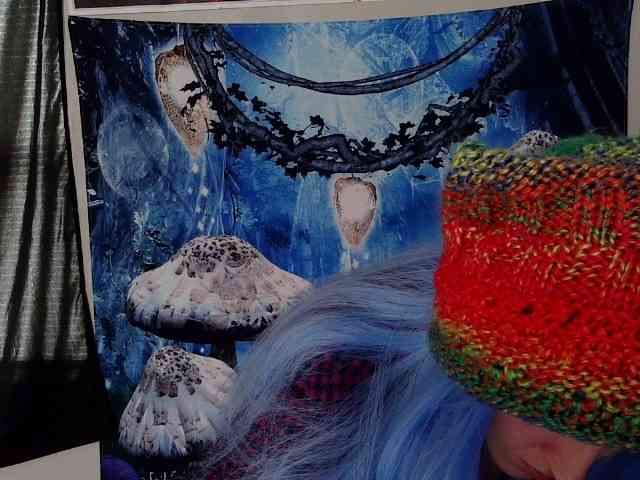 stormythunder webcam