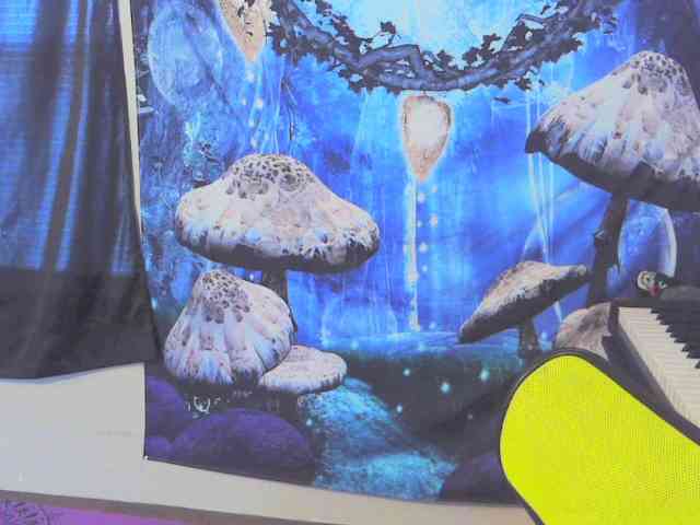 stormythunder webcam