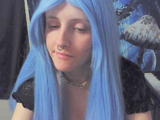 stormythunder webcam