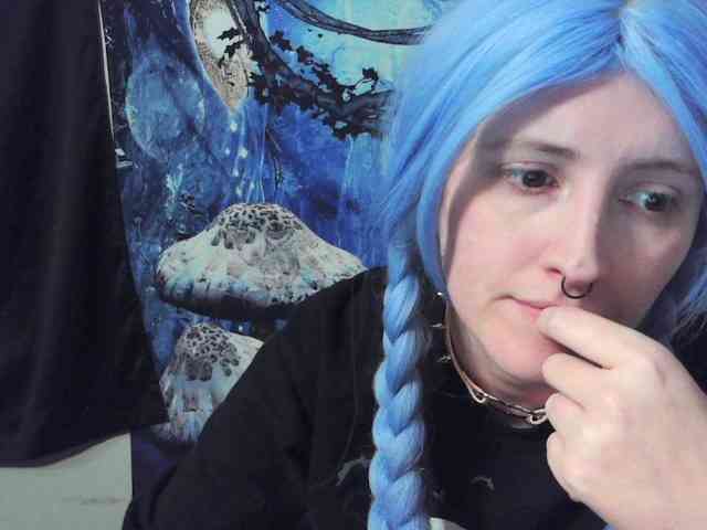 stormythunder webcam