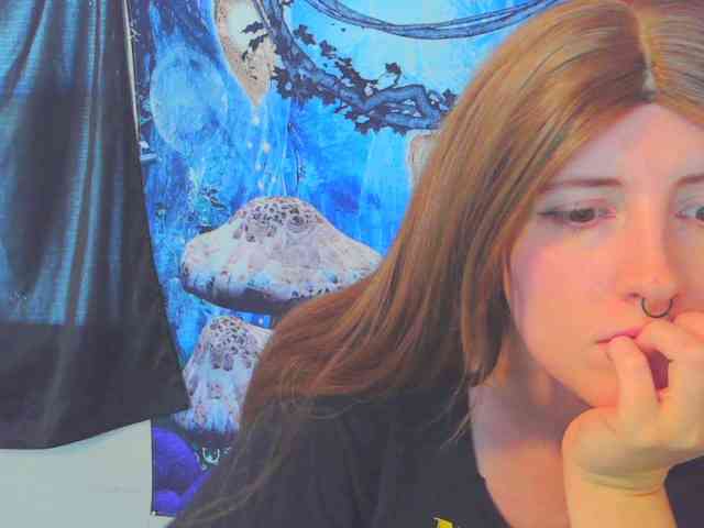 stormythunder webcam