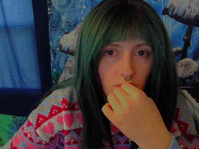 stormythunder webcam