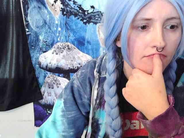 stormythunder webcam