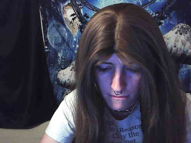 stormythunder webcam