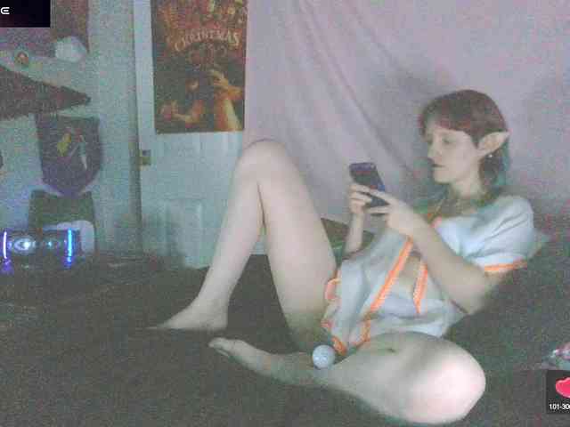 stormythunder webcam