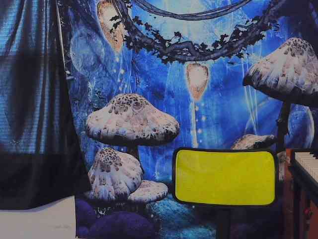 stormythunder webcam