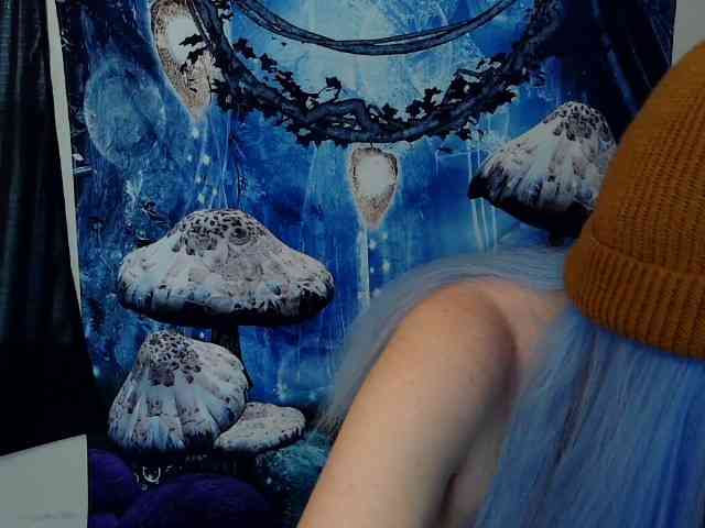 stormythunder webcam