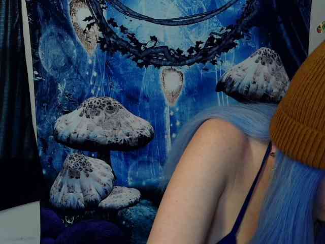 stormythunder webcam