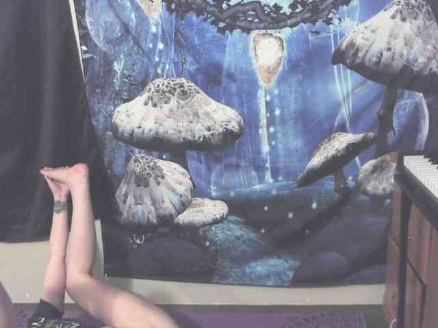 stormythunder webcam