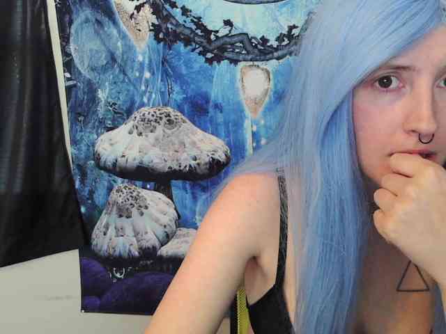 stormythunder webcam