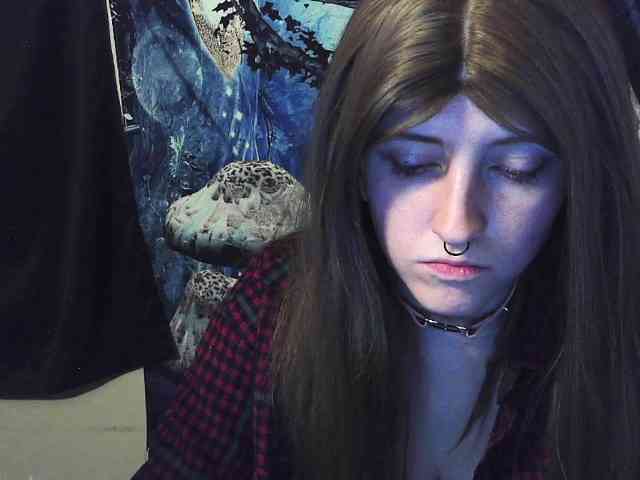 stormythunder webcam