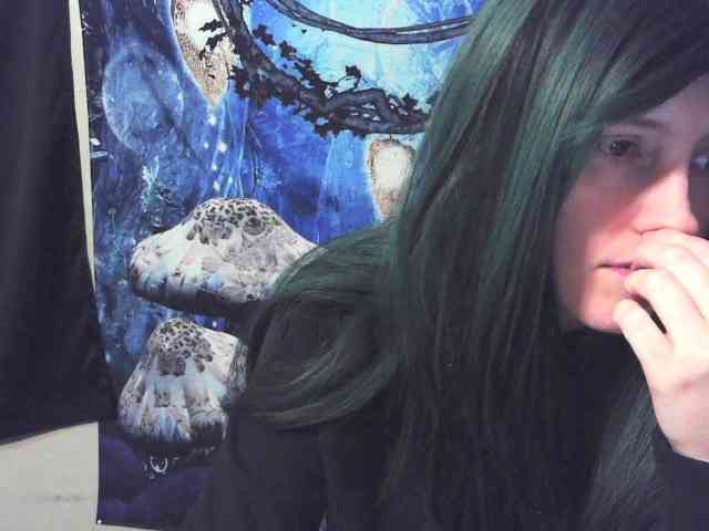 stormythunder webcam