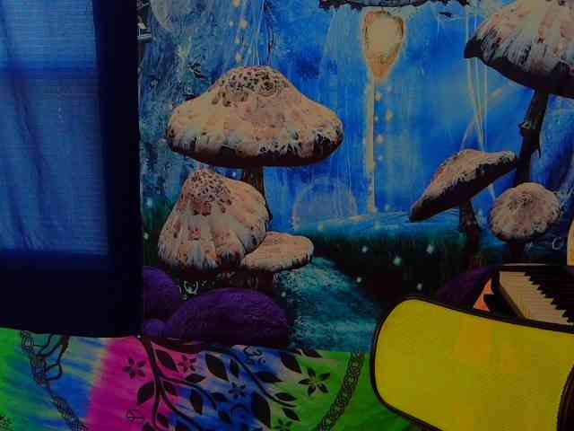 stormythunder webcam