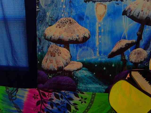 stormythunder webcam