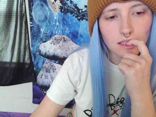 stormythunder webcam