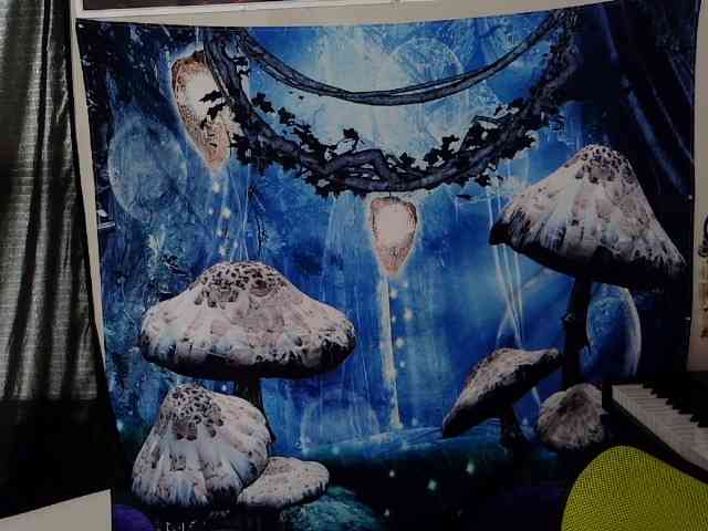 stormythunder webcam