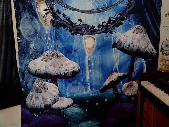 stormythunder webcam