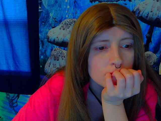 stormythunder webcam